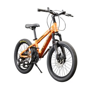 Head Bicicleta MTB HD-MTB20-OR/GN/RD/BL